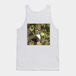 Acorn woodpecker, birds, wildlife, gifts Tank Top